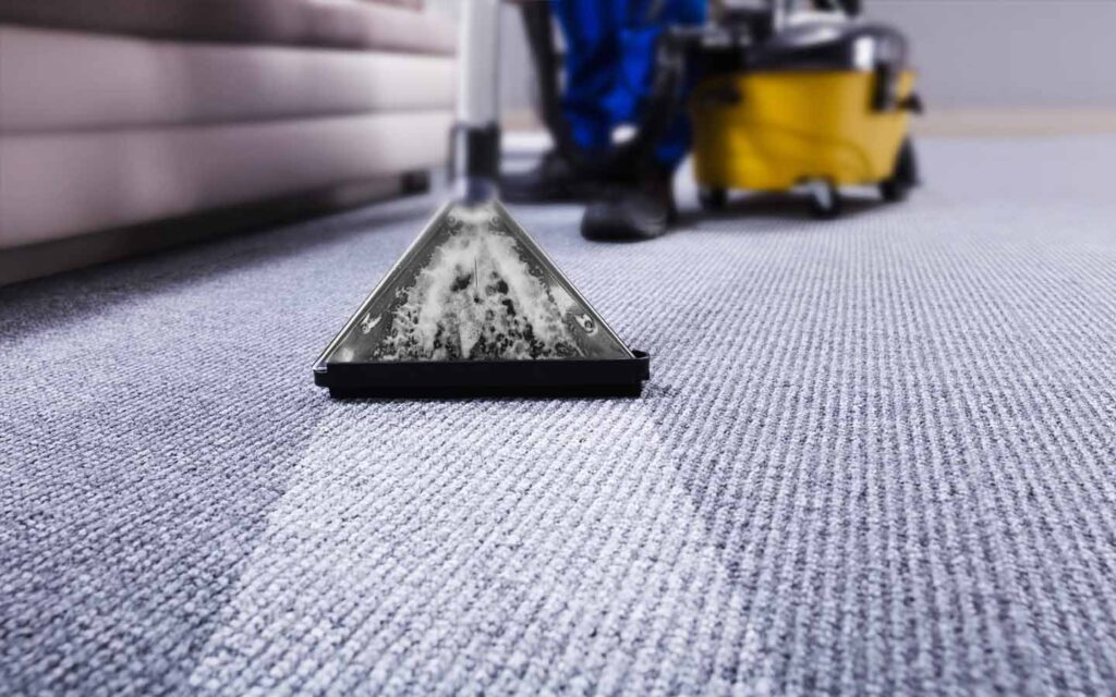 Professional Rug Cleaning Coral Gables