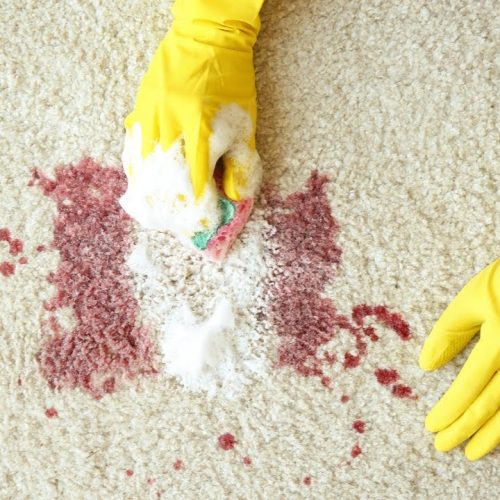 Area Rug Odor Removal Coral Gables