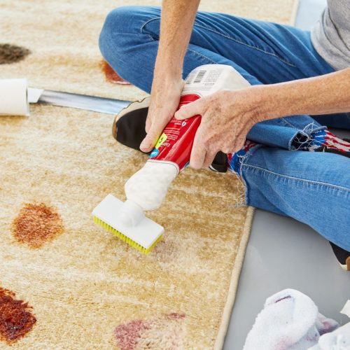 Rug Pet Stain Removal Coral Gables